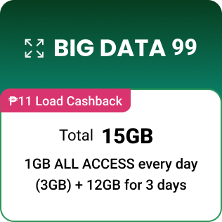 BIG DATA 99 w/ P11 Load Cashback